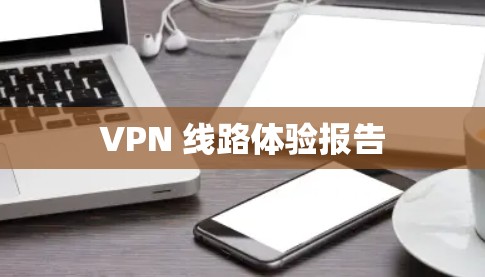 VPN 线路体验报告