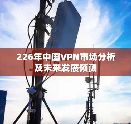 226年中国VPN市场分析及未来发展预测