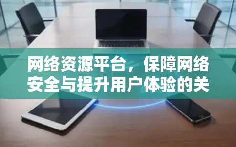 网络资源平台，保障网络安全与提升用户体验的关键平台