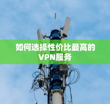 如何选择性价比最高的VPN服务