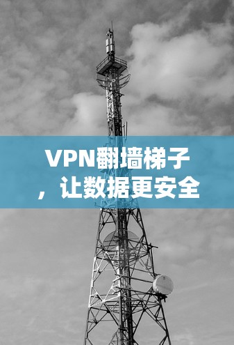 VPN翻墙梯子，让数据更安全的实用指南
