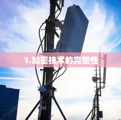 1.加密技术的完整性