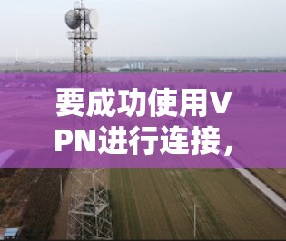 要成功使用VPN进行连接，可以按照以下步骤进行操作
