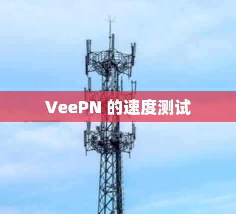 VeePN 的速度测试
