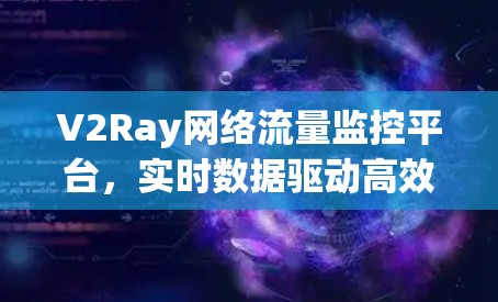 V2Ray网络流量监控平台，实时数据驱动高效网络管理