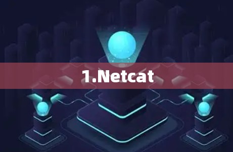 1.Netcat