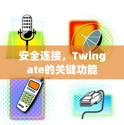 安全连接，Twingate的关键功能
