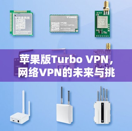 苹果版Turbo VPN，网络VPN的未来与挑战