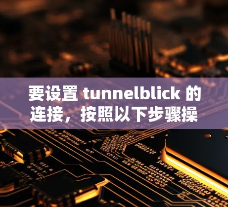 要设置 tunnelblick 的连接，按照以下步骤操作