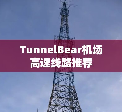 TunnelBear机场高速线路推荐