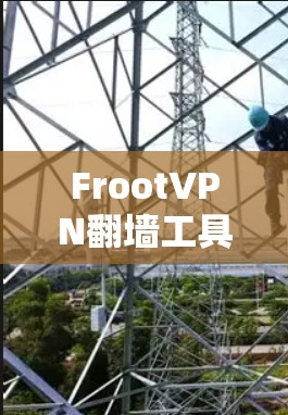 FrootVPN翻墙工具和梯子软件都是基于多语言的工具，但它们在功能、适用场景和技术应用上有所不同。以下是对它们的详细比较