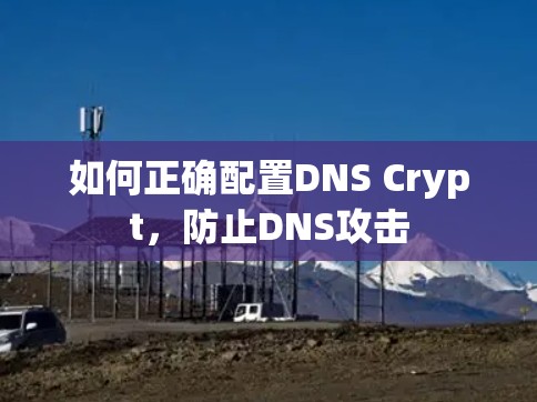 如何正确配置DNS Crypt，防止DNS攻击