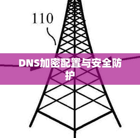 DNS加密配置与安全防护