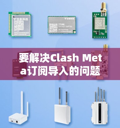 要解决Clash Meta订阅导入的问题，您可以按照以下步骤操作